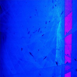 “Musikprojekt und Band Nachtigall”的封面
