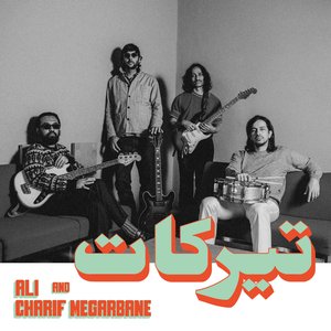 Avatar for Charif Megarbane, Ali
