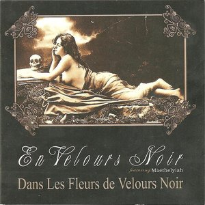 Dans Les Fleurs de Velours Noir