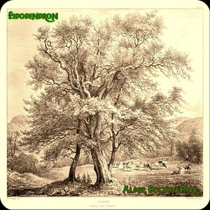 Alder, Bolton Park