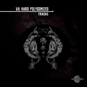 Va Hard Polygonized Tracks