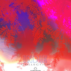Indie Collection