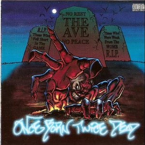 The Ave 的头像