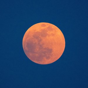 Red Moon - Single