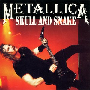 Metallica - Skull And Snake - Zortam Music