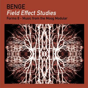 Forms 8 - Field Effect Studies