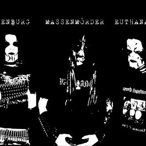 “Massensterben”的封面