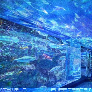 PURE TRACES