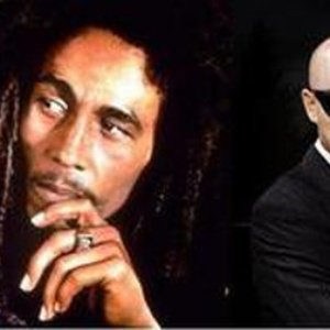 Bob Marley VS. Funkstar De Lux için avatar
