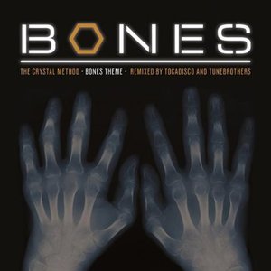 Bones Theme