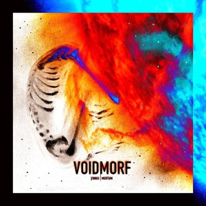 VoidMorf 的头像