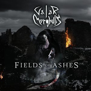 Fields of Ashes