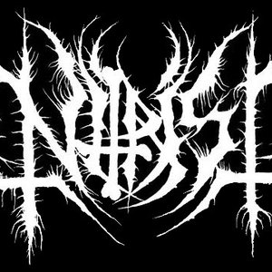 Nitrist 的头像