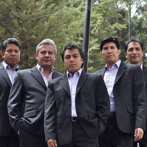 Ayra Bolivia 的头像