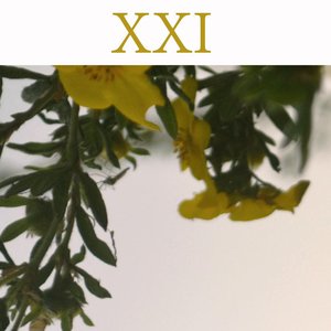 XXI