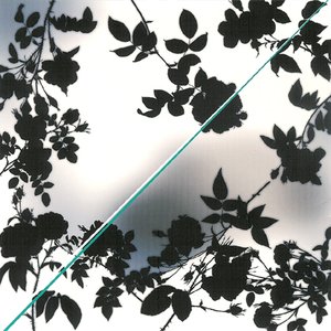 紫陽花／螺旋階段
