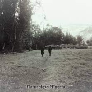 Naturaleza Muerta