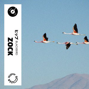 Blackbird - Single