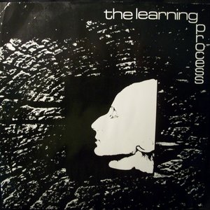 The Learning Process 的头像
