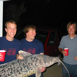 The Wee Turtles photo provided by Last.fm