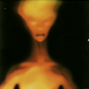 Human - Single