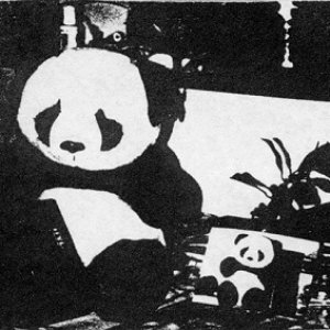 Music for Pandas