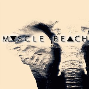 M▽SCLE BE△CH