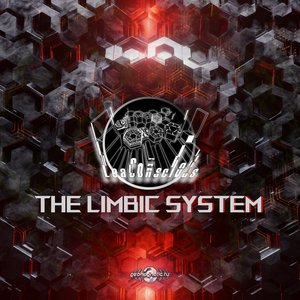 The Limbic System