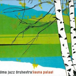 Sauna palaa! cover