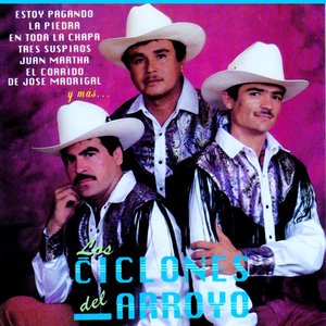 Los Ciclones Del Arroyo 的头像