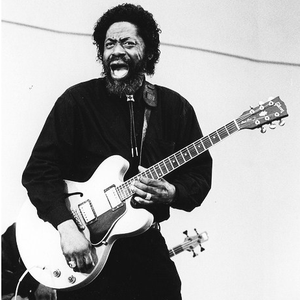 Son Seals photo provided by Last.fm