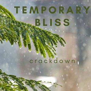 Temporary Bliss