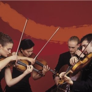 The Chiara String Quartet 的头像