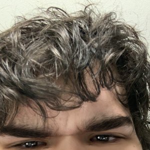Hide Kit için avatar