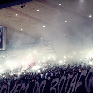 Botafogo de Futebol e Regatas 的头像