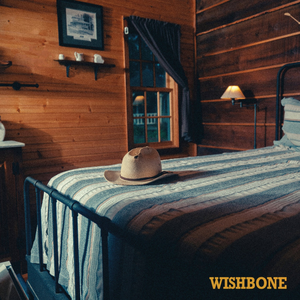 Artwork for Wishbone