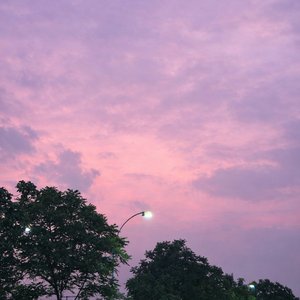 Within