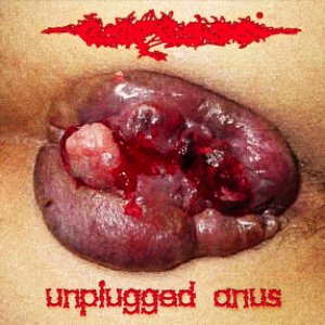 Image for 'Unplugged Anus'