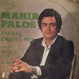 Avatar for Mahir Palos