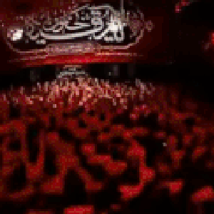 وحيد شكرى 的头像