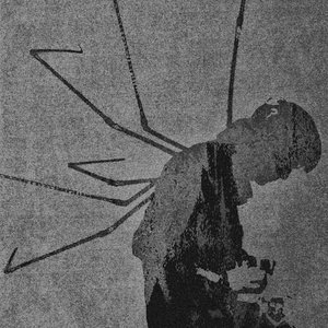 spider paradox [Explicit]