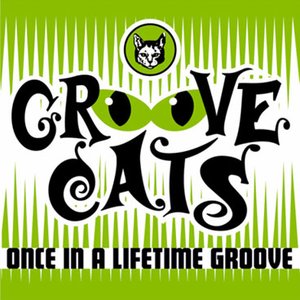 Groove Cats 的头像