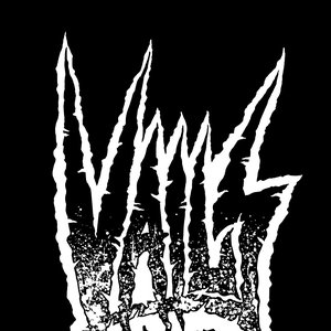 V A I L S 的头像