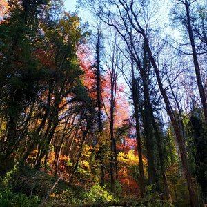 Seasons Change