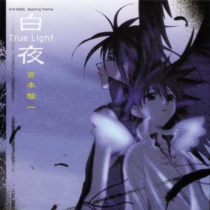 白夜 ～True Light～