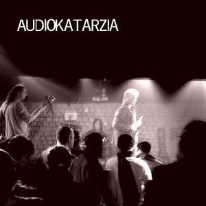 Audiokatarzia 的头像