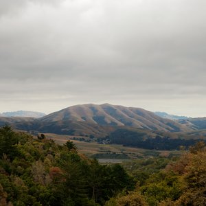 Image pour 'Mount Wittenberg Orca'