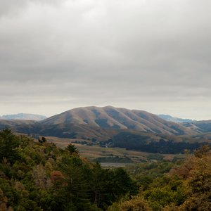 Immagine per 'Mount Wittenberg Orca'