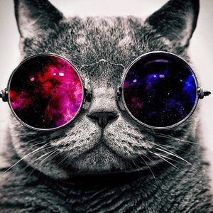 Dexter のアバター