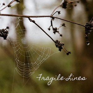 Fragile Lines